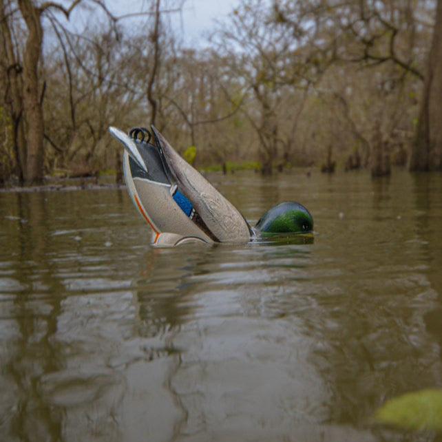 Duck-Decoy