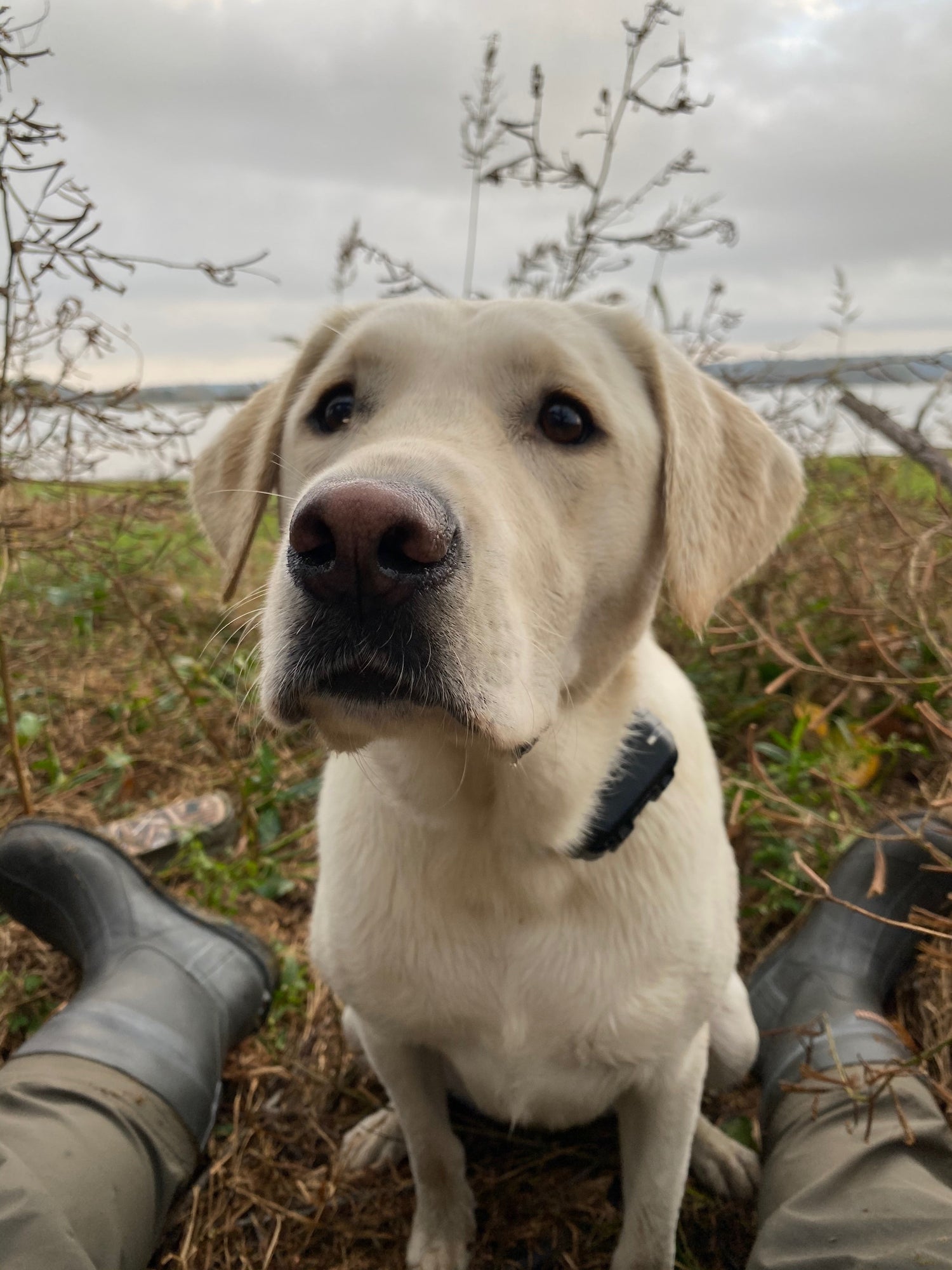 Jahpoo's Commitment to Conservation & the Environment