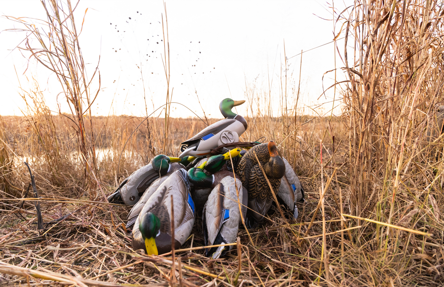 Compact Spreads for Kayak & Solo Hunters: Small But Effective Layouts