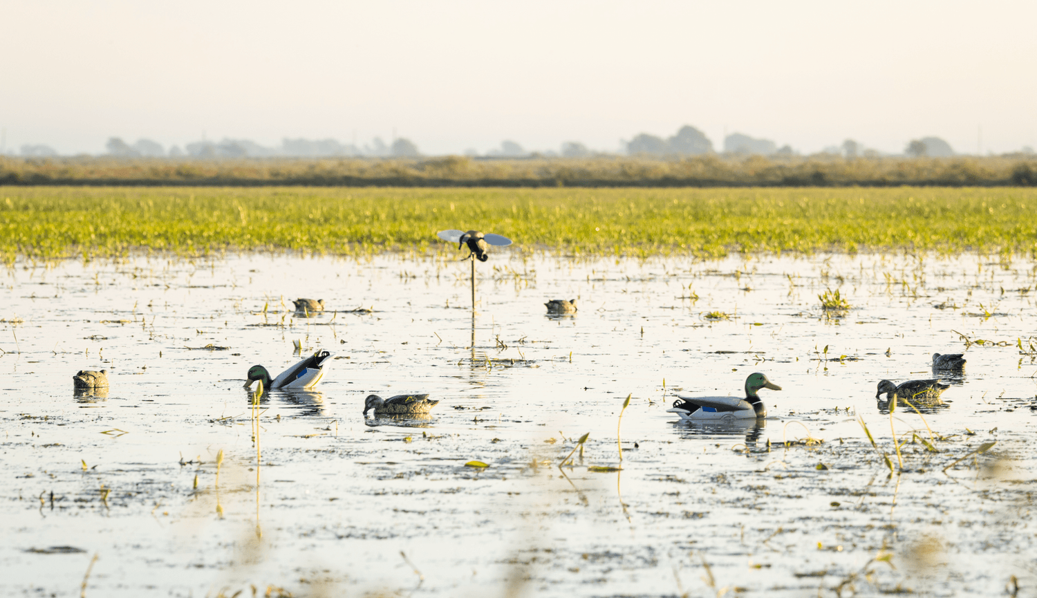 The Philosophy of Hunting: Dealing with Empty Straps | Jahpoo Motion Duck Decoys - Jahpoo