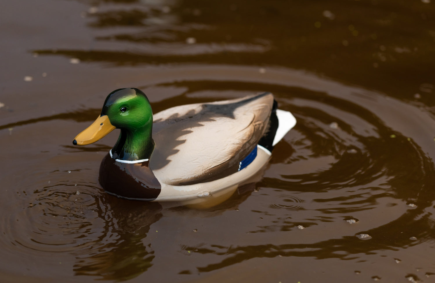 Winter Care for Decoys: What to Do Off-Season - Jahpoo