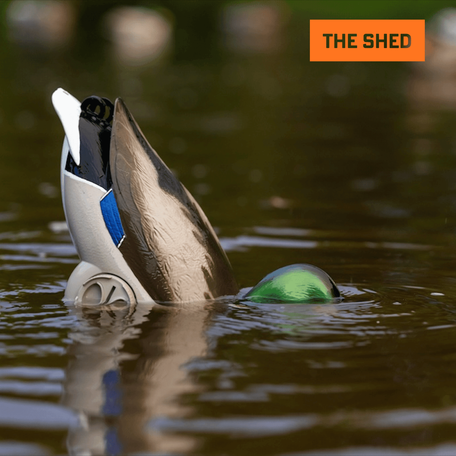 Flyway Deputy - Mallard Drake Motion Duck Decoy (The Shed) - Jahpoo