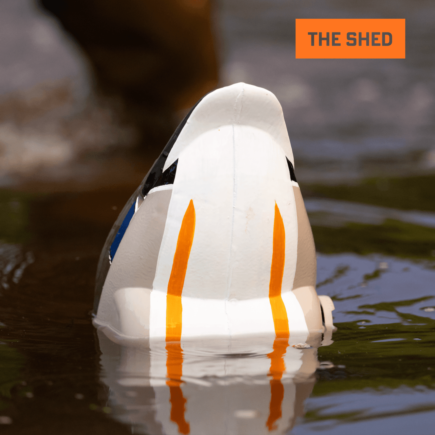 Flyway Deputy - Mallard Drake Motion Duck Decoy (The Shed) - Jahpoo