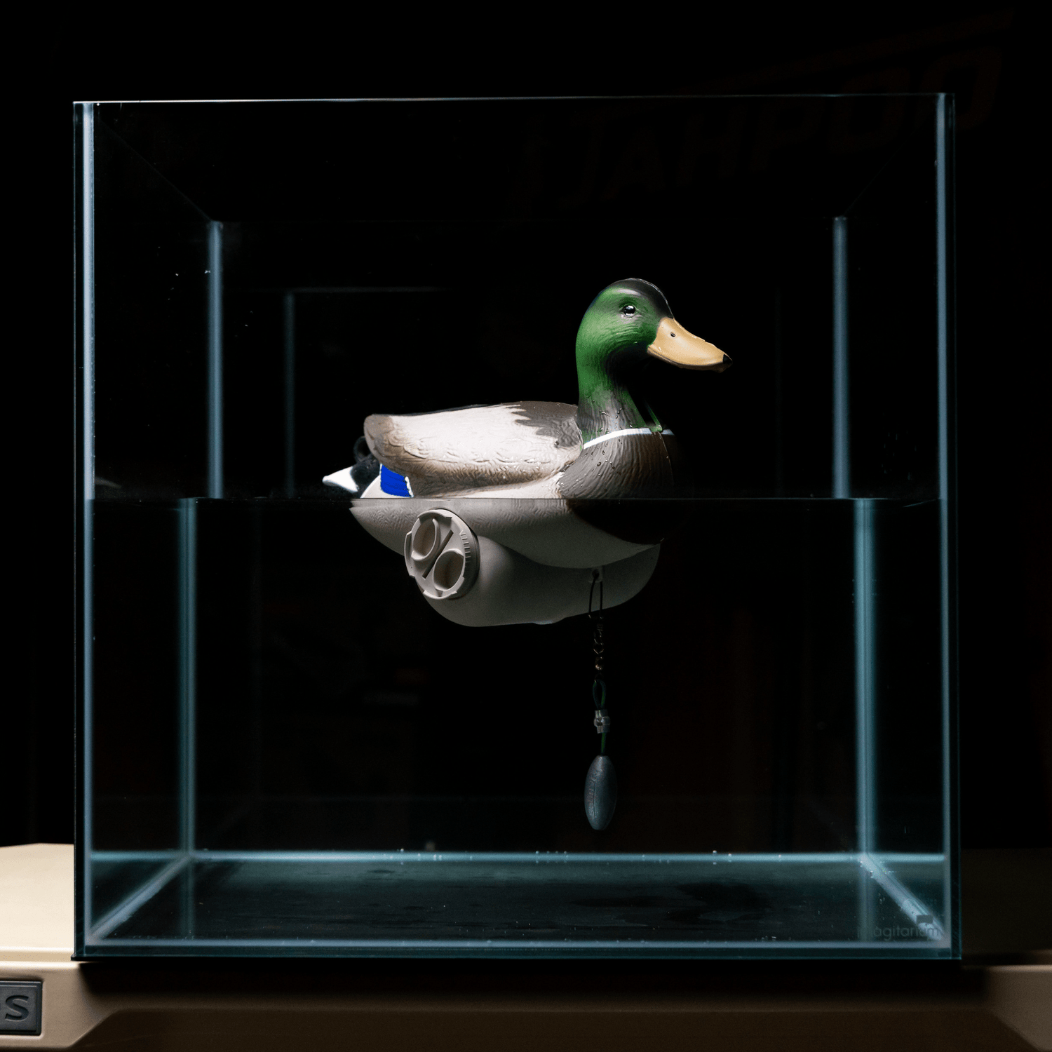 Flyway Deputy - Motion Duck Decoy Three-Pack Mallard Drake - Jahpoo