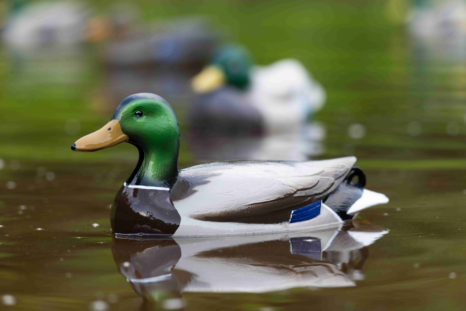 Gift Guide: Best Duck Decoys & Kits for Hunters (Holiday & Father's Day Picks)
