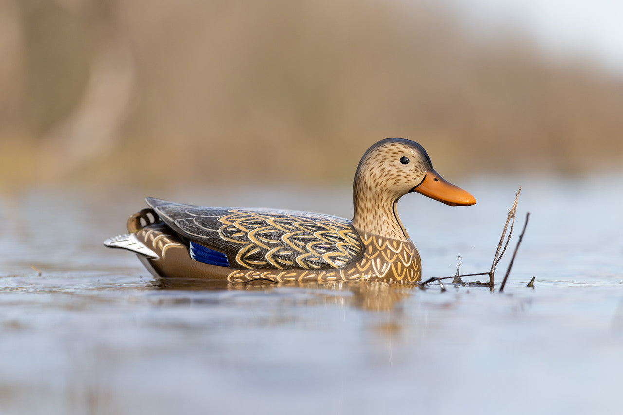 Flyway Deputy Mallard