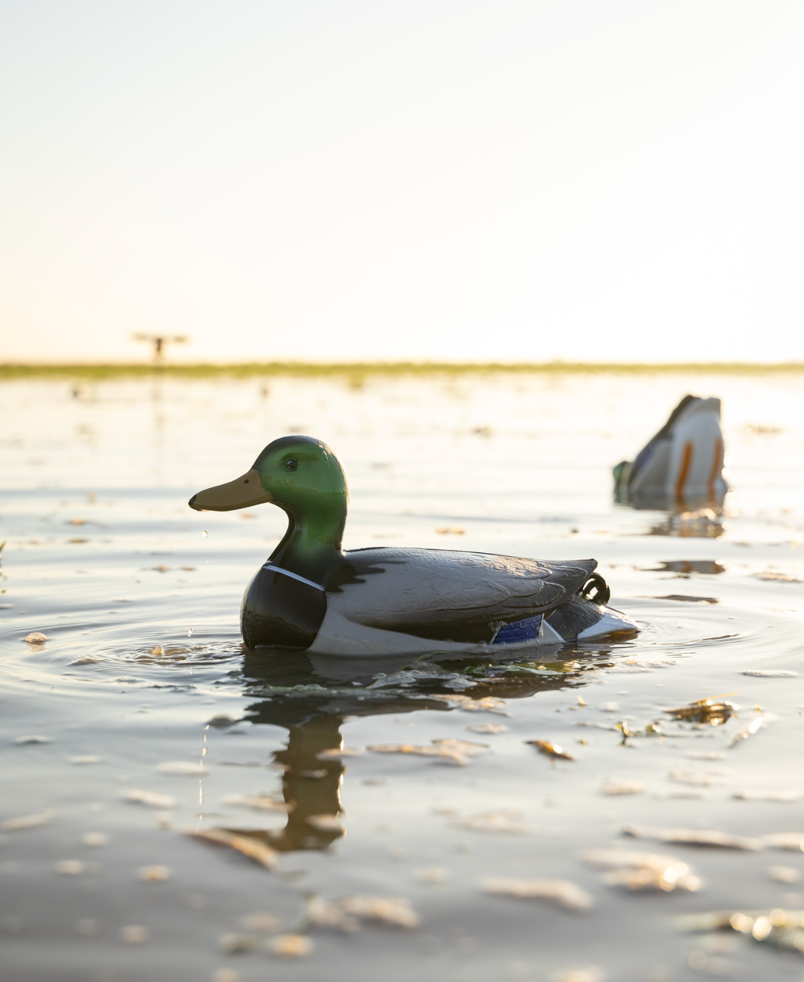 Motion Duck Decoys vs. Static Decoys