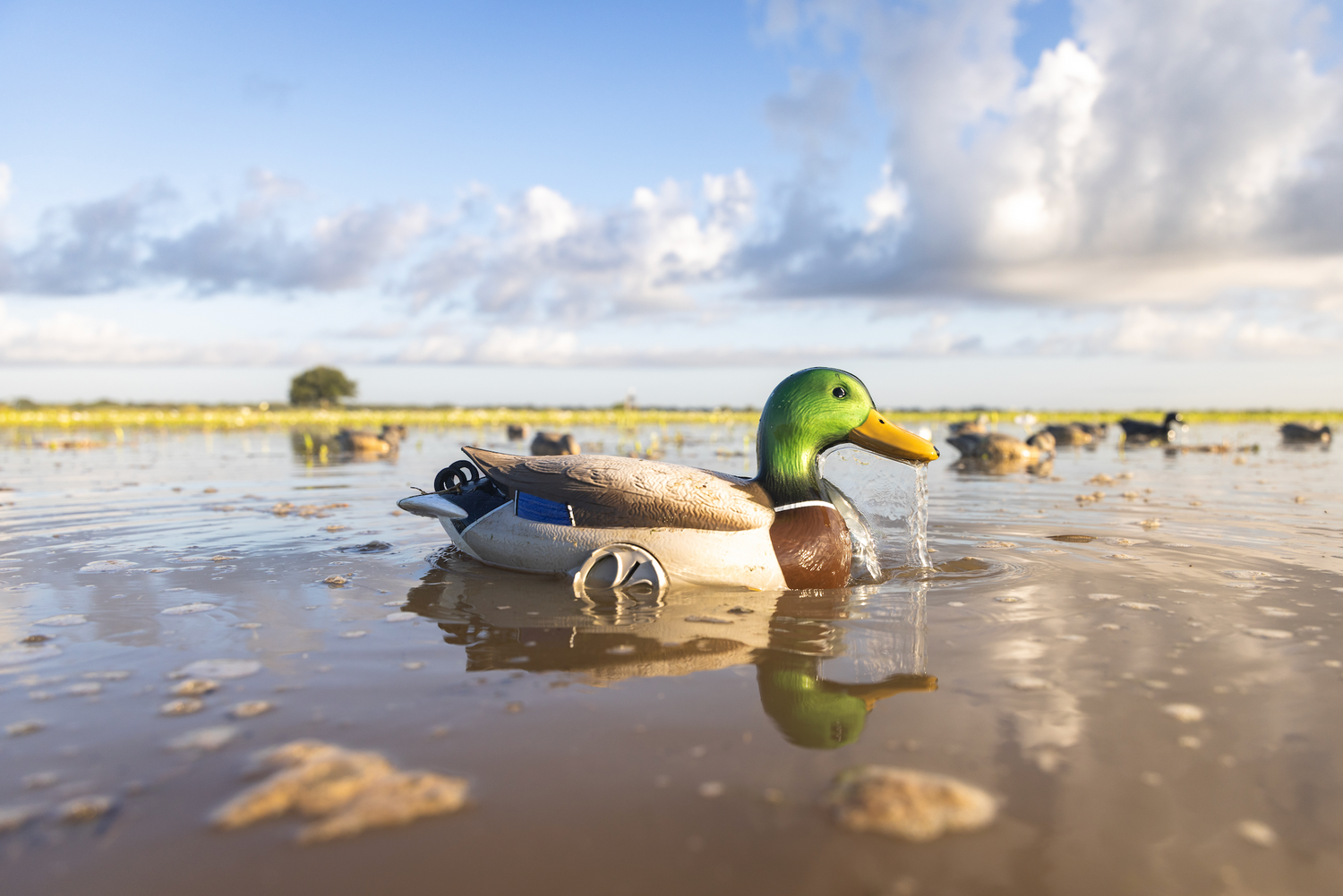 How Local Guides Use Our Decoys to Put Clients on Birds — Pro Setups