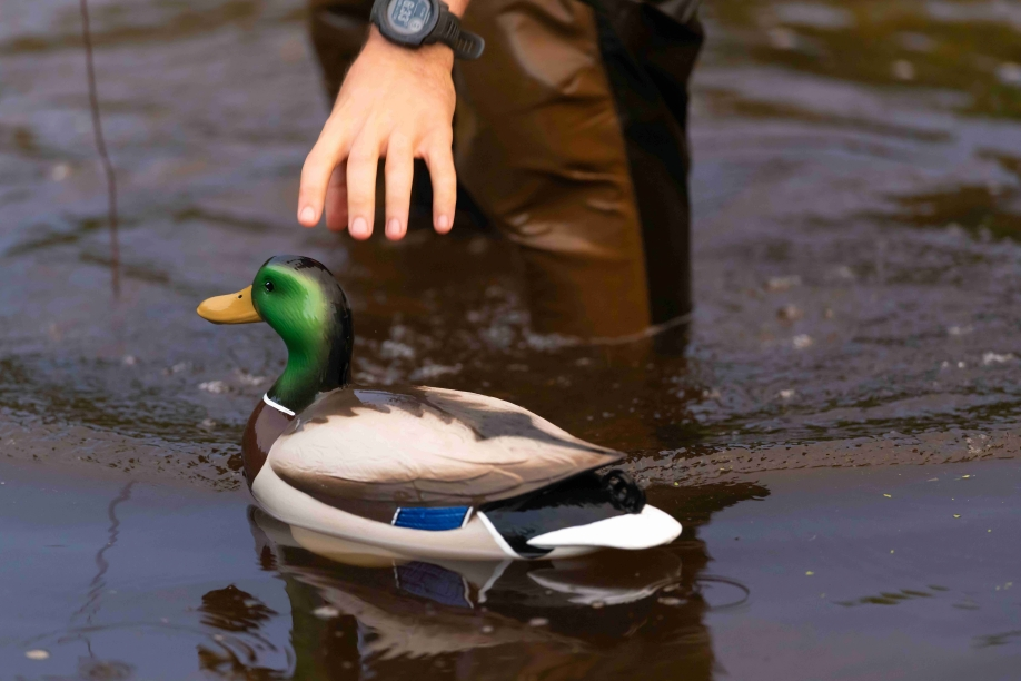 best duck decoys