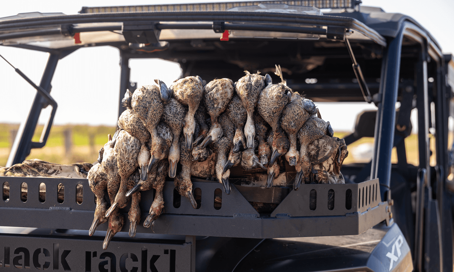How to Cook Duck Breast: A Guide for Wild Game | Jahpoo Motion Duck Decoys - Jahpoo