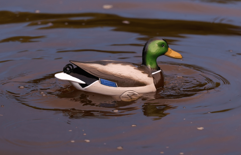 Integrating Goose & Duck Decoys for Mixed-Species Success - Jahpoo