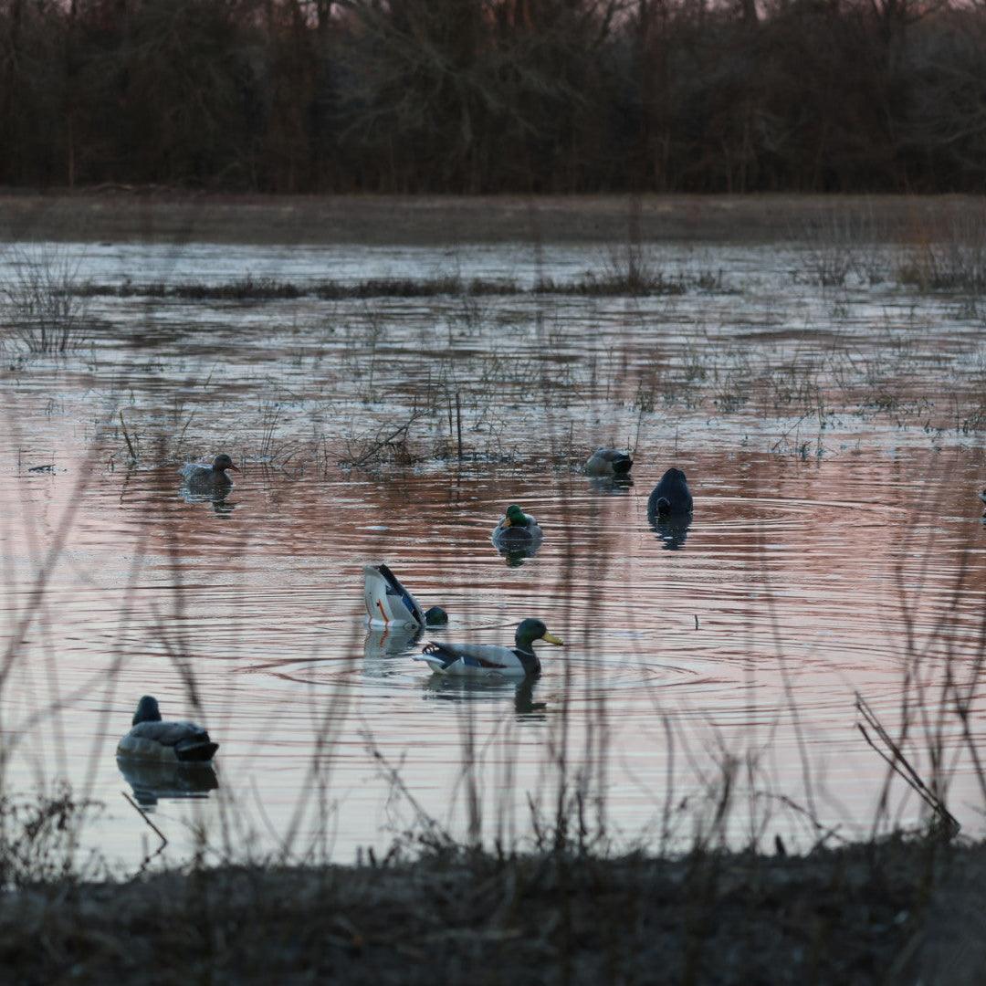 Motion Ducks vs. Static Decoys: When to Use Each for Bigger Limits - Jahpoo