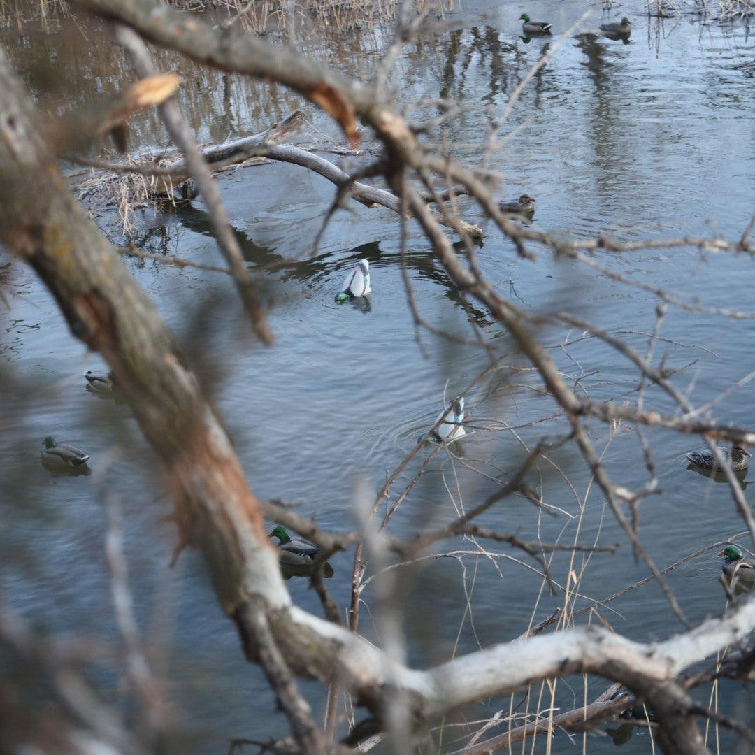 Top Motion Duck Decoys - Realistic Feeding Duck Decoys for Waterfowl Hunting - Jahpoo