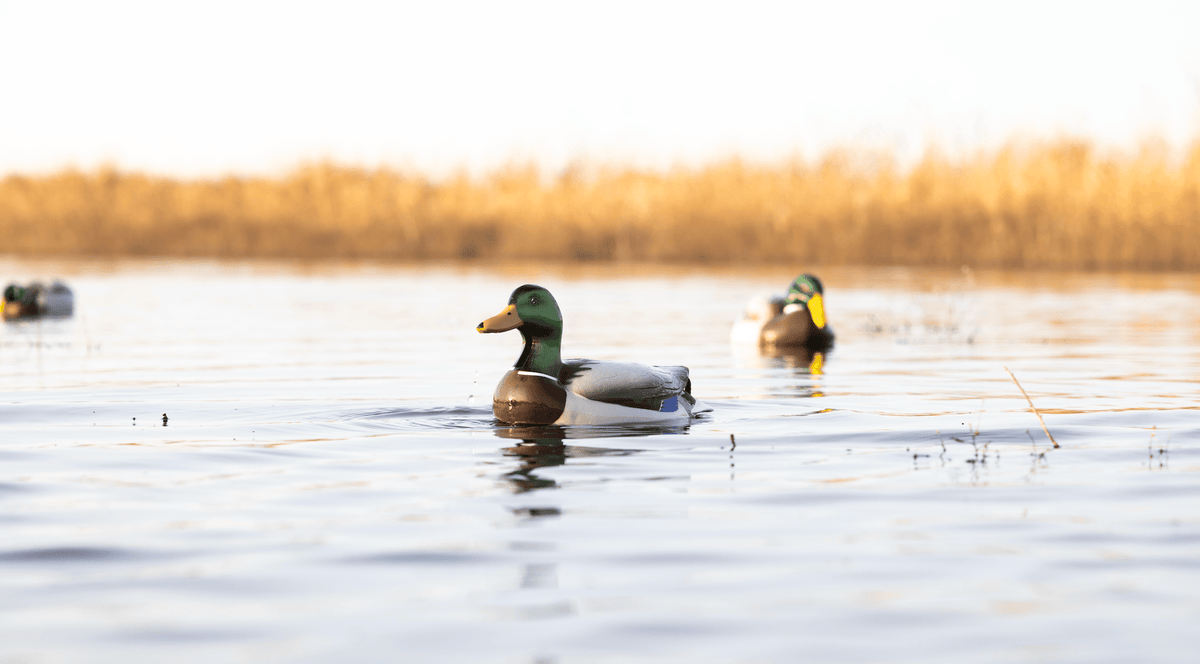 What Serious Duck Hunters Do in the Off-Season | Jahpoo Motion Duck Decoys - Jahpoo
