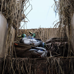 Jahpoo Flyway Deptuy Motion Duck Decoys on a ledge in a pit blind