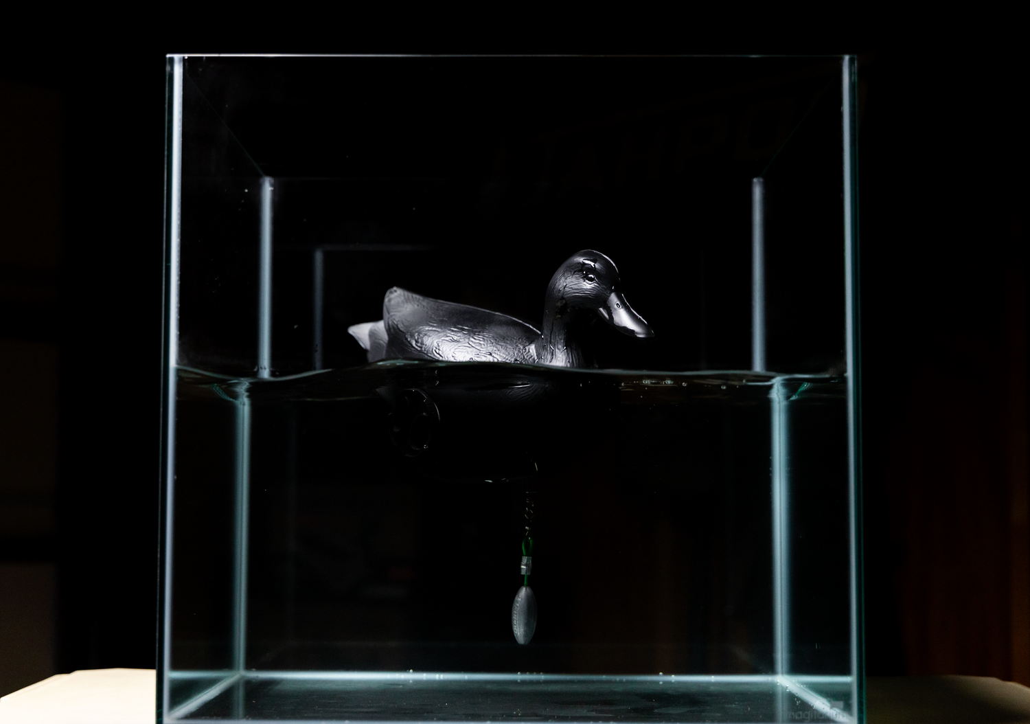 Flyway Deputy - Matte Black Motion Duck Decoy