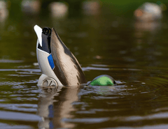 Flyway Deputy - Mallard Drake Motion Duck Decoy (The Shed) - Jahpoo