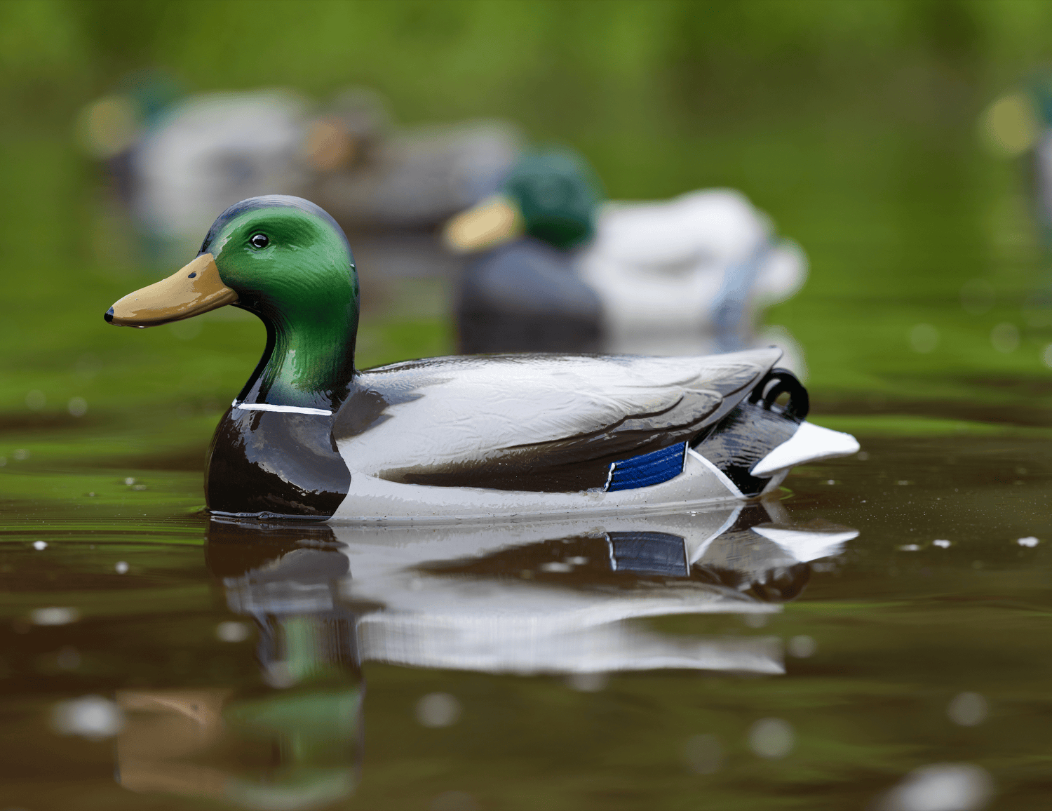 Flyway Deputy - Mallard Drake Motion Duck Decoy (The Shed) - Jahpoo
