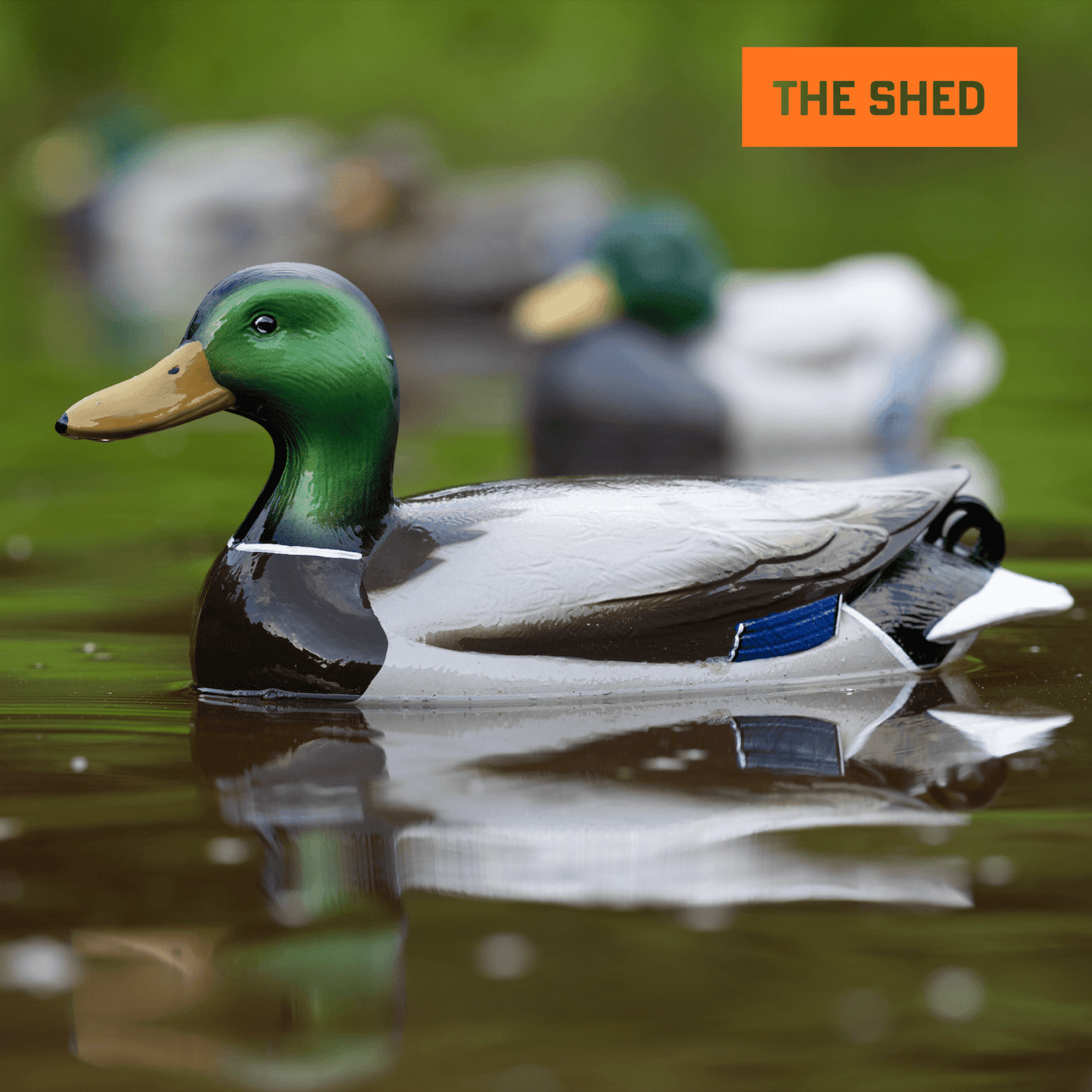Flyway Deputy - Mallard Drake Motion Duck Decoy (The Shed) - Jahpoo