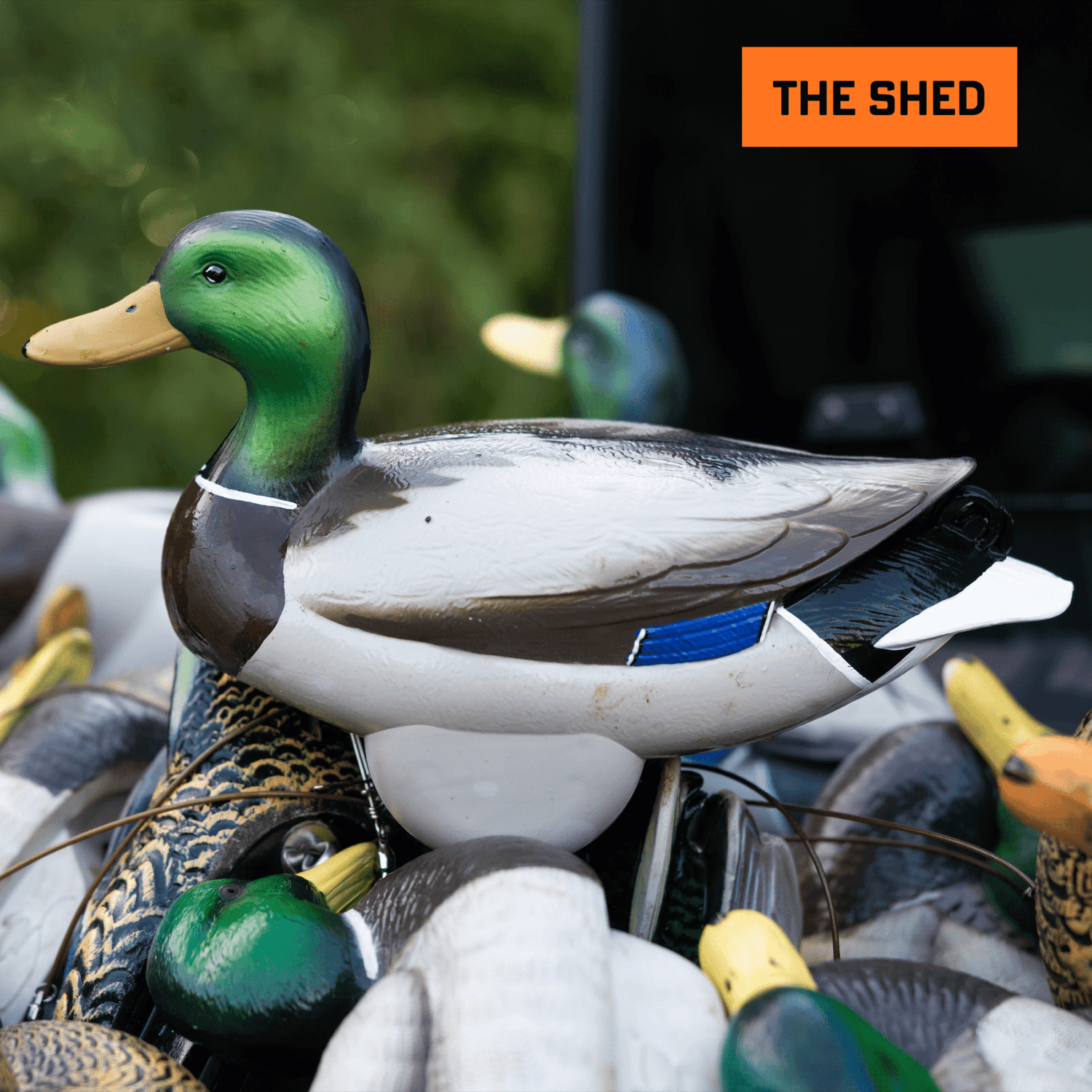 Flyway Deputy - Mallard Drake Motion Duck Decoy (The Shed) - Jahpoo