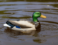 Flyway Deputy - Mallard Drake Motion Duck Decoy (The Shed) - Jahpoo